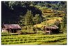 9/nepal 21 (Small).jpg